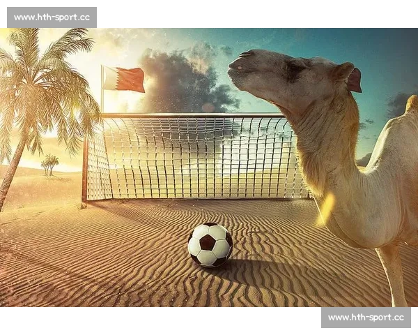 卡塔尔世界杯，一场关于沙漠与足球的传奇！
